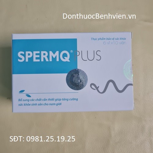 Thực phẩm bảo vệ sức khỏe Spermq Plus
