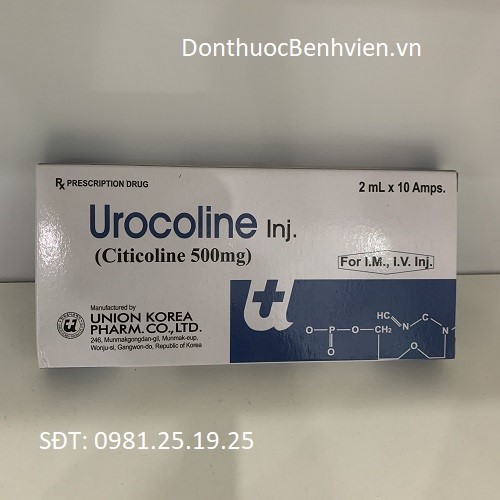 Thuốc Urocoline Inj 500mg/2ml