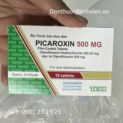 Viên uống Thuốc Picaroxin 500mg