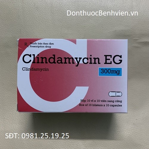 Viên nang cứng Thuốc Clindamycin EG 300mg
