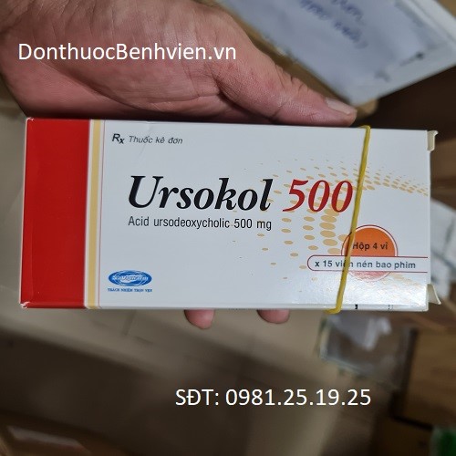 Viên nén bao phim Thuốc Ursokol 500mg