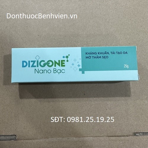 Kem bôi Dizigone nano Bạc