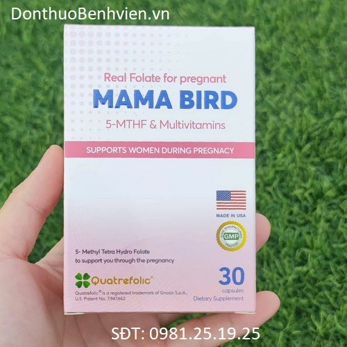 Viên uống Bảo vệ sức khỏe Mama Bird