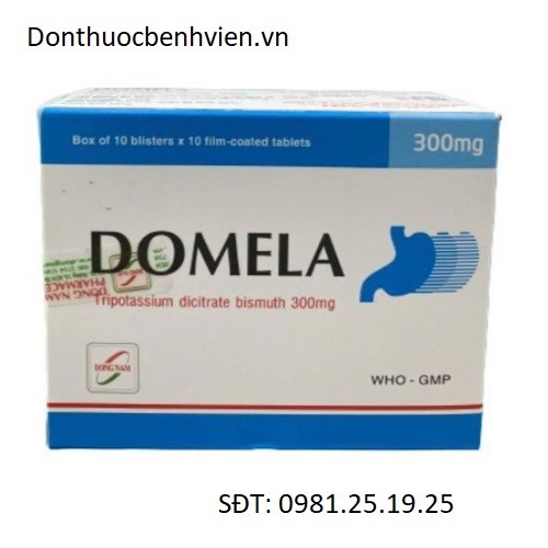 Viên uống Thuốc Domela 300mg