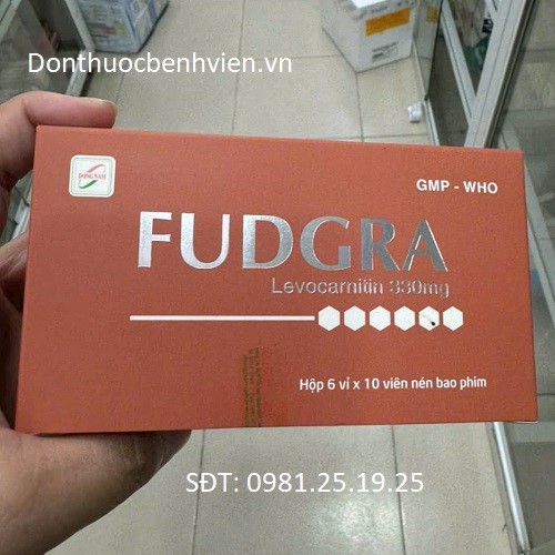 Viên nén bao phim Thuốc Fudgra 330mg