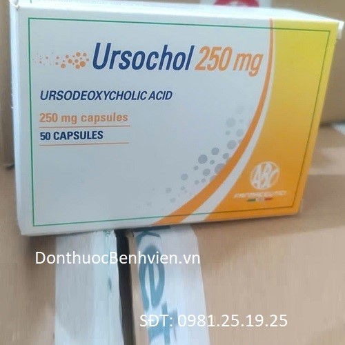 Viên uống Thuốc Ursochol 250mg