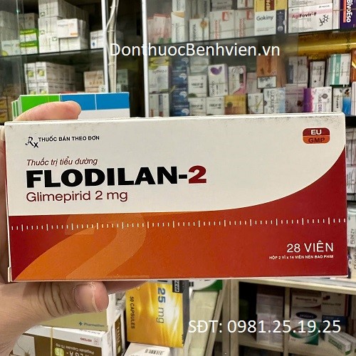 Viên uống Thuốc Flodilan 2mg