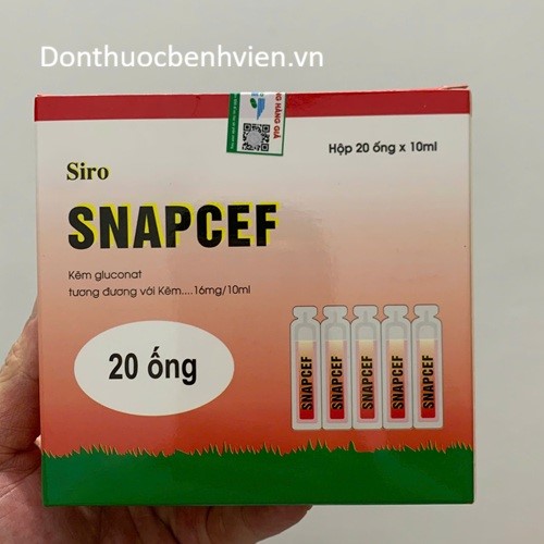 Thuốc Siro Uống Snapcef 10ml