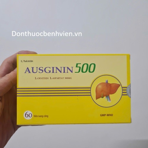 Viên nang cứng Thuốc Ausginin 500mg