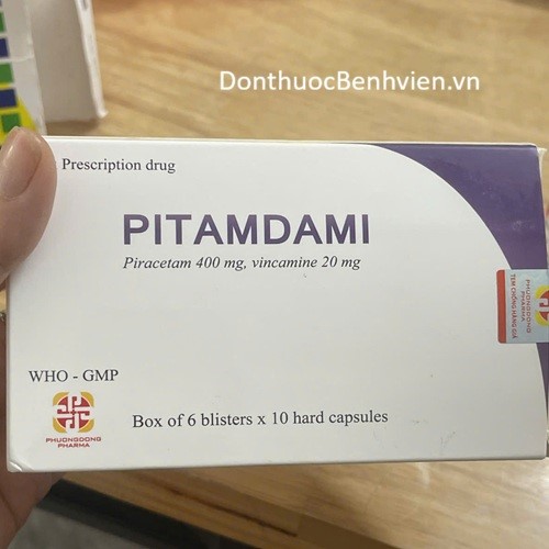 Viên nang cứng Thuốc Pitamdami 400mg/20mg