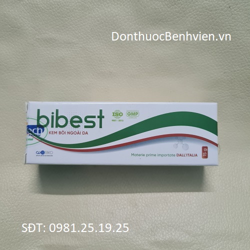 Kem bôi ngoài da Thuốc Bibest