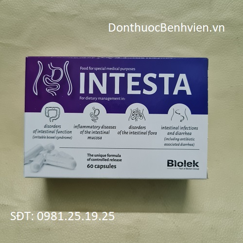 Thực phẩm bảo vệ sức khỏe Intesta