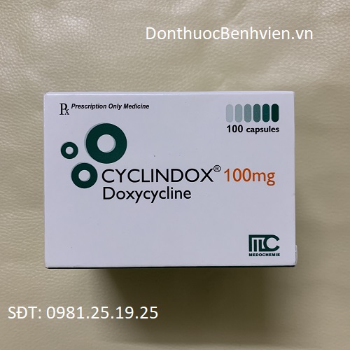 Thuốc Cyclindox 100mg