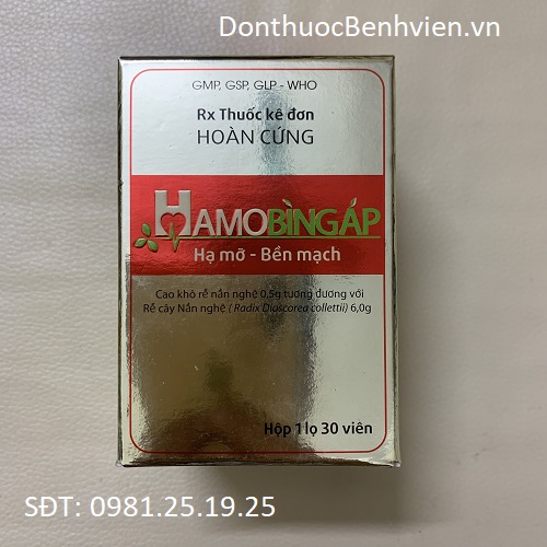 Thuốc Hamobingap