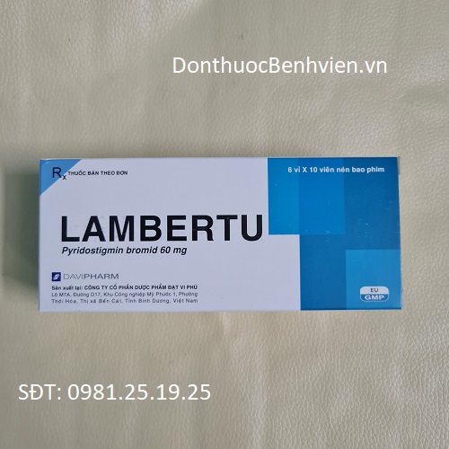 Thuốc Lambertu 60mg Davipharm