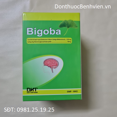 Viên Uống Thuốc Bigoba 120mg Hataphar
