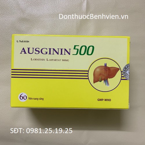 Viên nang cứng Thuốc Ausginin 500mg