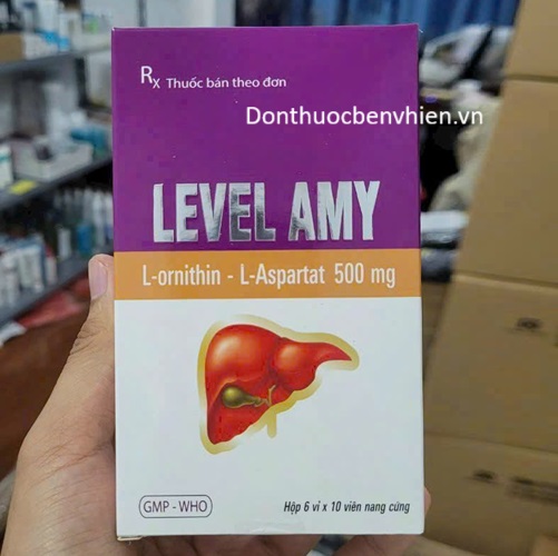 Viên nang cứng Thuốc Level Amy 500mg