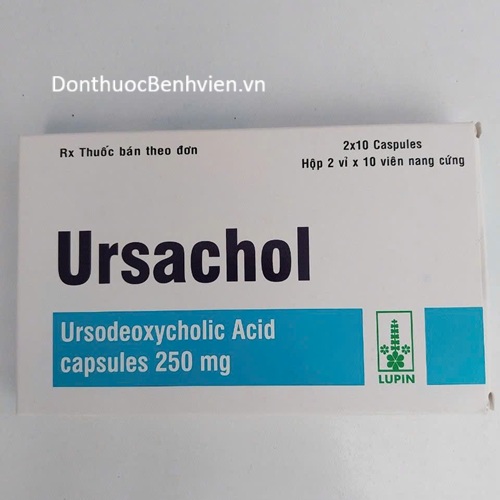 Viên nang cứng Thuốc Ursachol 250mg