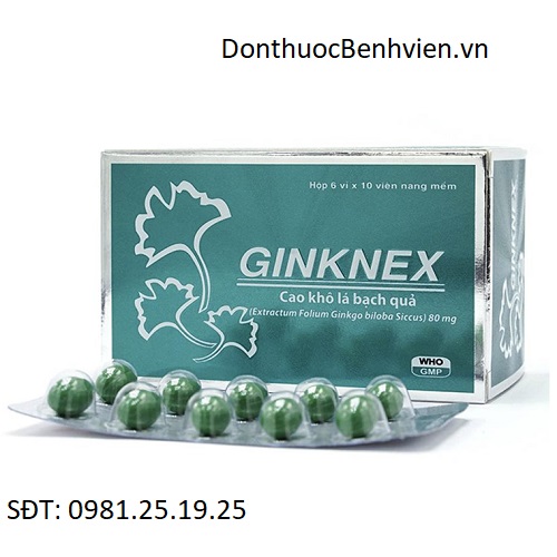 Viên nang mềm Thuốc Ginknex 80mg