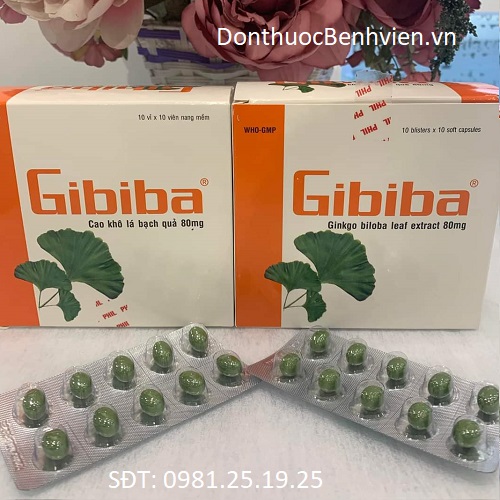 Viên uống Thuốc Gibiba 80mg