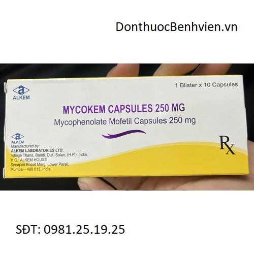 Viên uống Thuốc Mycokem Capsules 250mg